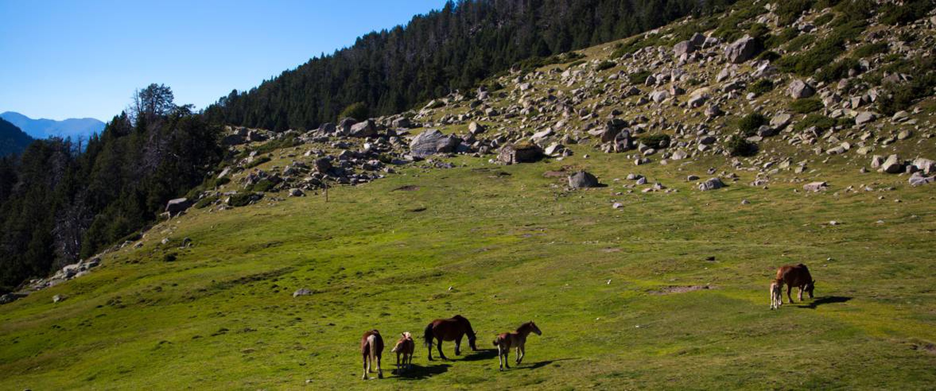 Nature awaits you Ushuaia The Mountain Hotel  Arinsal