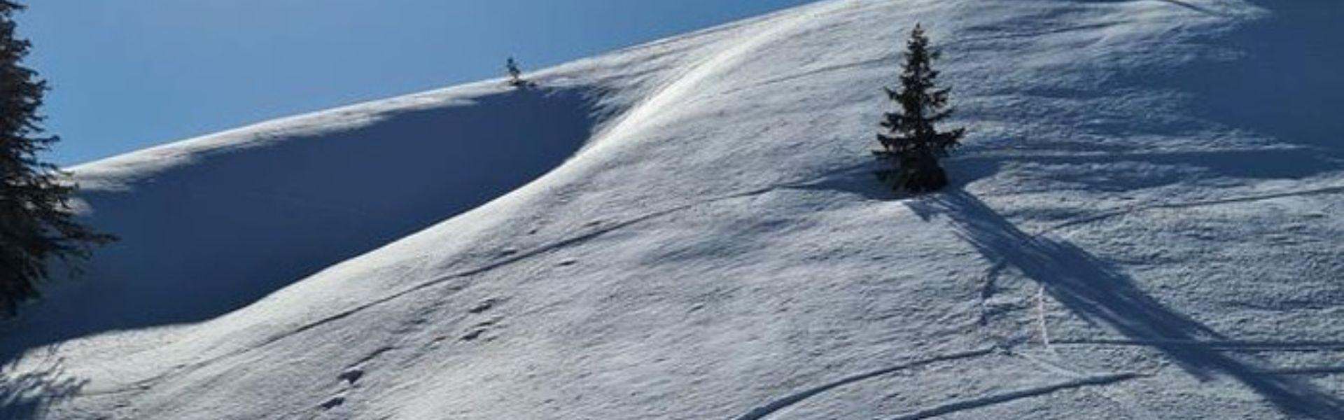 Cookies Notice Ushuaia The Mountain Hotel Arinsal Cookies Notice Ushuaia The Mountain Hotel Arinsal